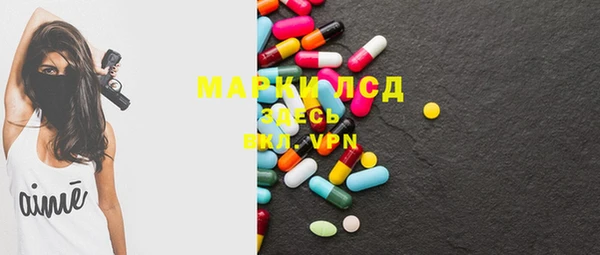 PSILOCYBIN Аркадак