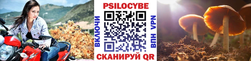 Галлюциногенные грибы прущие грибы  hydra онион  Россошь 