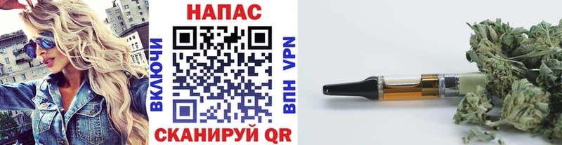 Бошки Шишки планчик Россошь